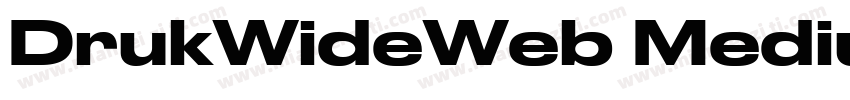 DrukWideWeb MediumIt字体转换